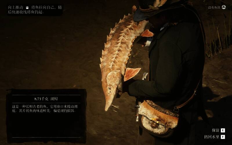 游戏地图标注的黄金钓点位置，红色标记清晰醒目