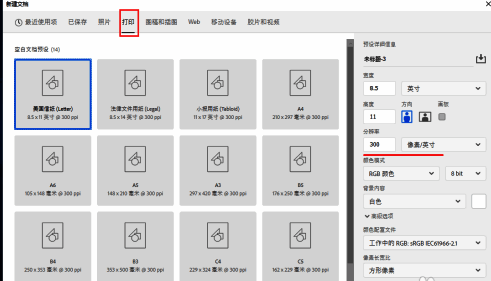 不同用途分辨率设置示意图，展示打印与网页模式的区别