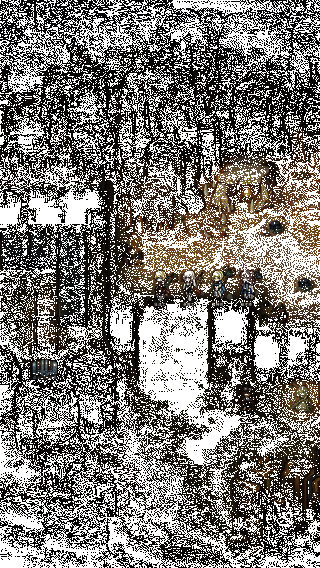 动态画面展示角色在异世界中行走探索的场景