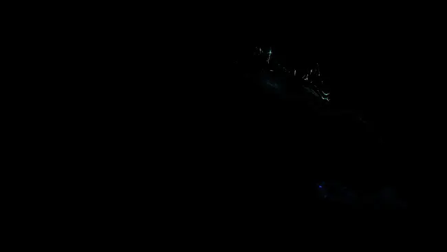 ESRB评级页面截图显示《艾尔登法环 褪色版》被评为M级