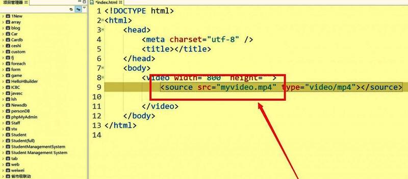 填写视频文件路径的操作界面