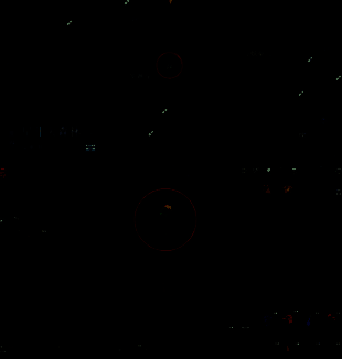 仙草生长在千年古藤之间，周围植被繁茂