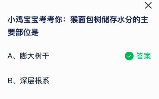 蚂蚁庄园答题界面展示猴面包树储水问题解答
