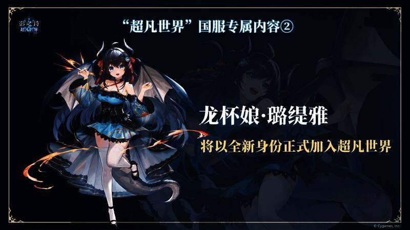 线下实体卡牌《影之诗：进化对决》联名套装实物展示图