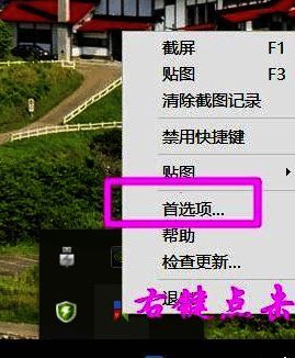 Snipaste首选项窗口展示快捷键设置页面内容