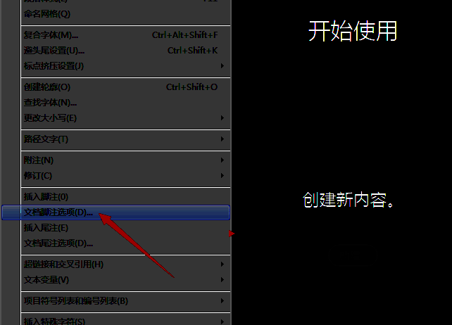 脚注设置面板界面展示，主要功能区明显突出
