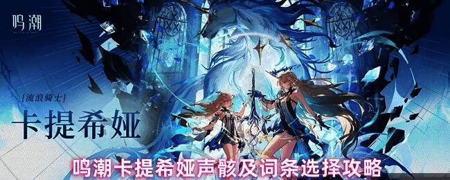 卡提希娅装备愿戴荣光之旅声骸后的属性面板展示