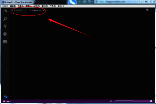 VScode新建文件后的空白编辑界面展示