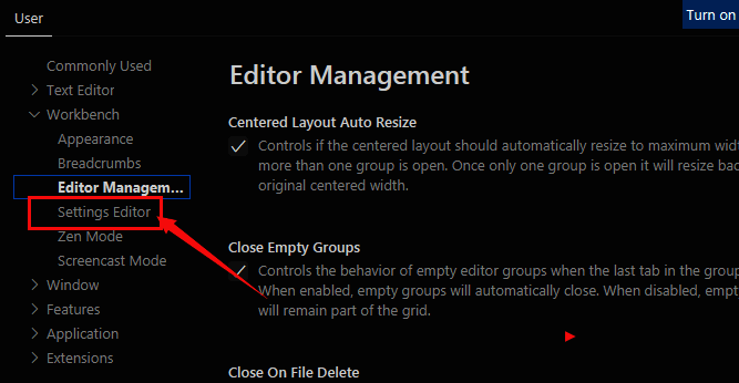 设置编辑器选项高亮显示的界面截图
