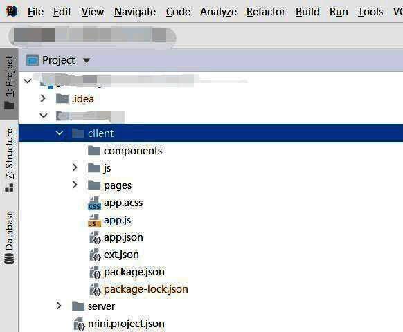项目视图截图，展示node_modules文件夹已成功隐藏