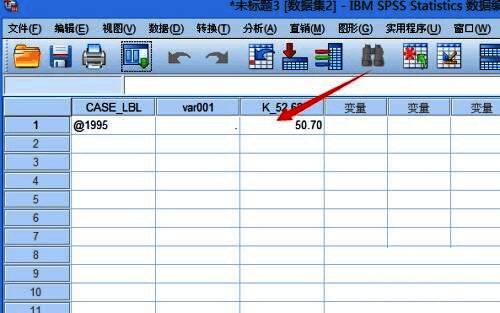 SPSS转置后数据详情展示
