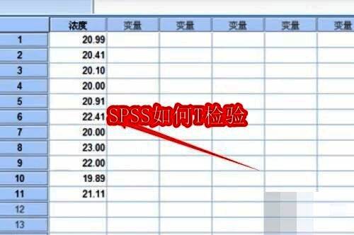 SPSS软件界面展示，显示正在导入数据窗口