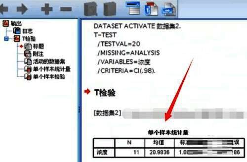 SPSS输出窗口展示T检验结果表格，包含各项统计参数信息
