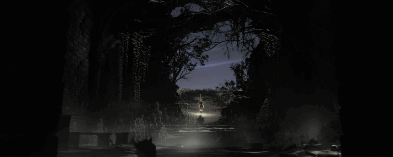 艾尔登法环黑夜君临游戏实机画面，展示角色使用技能特效