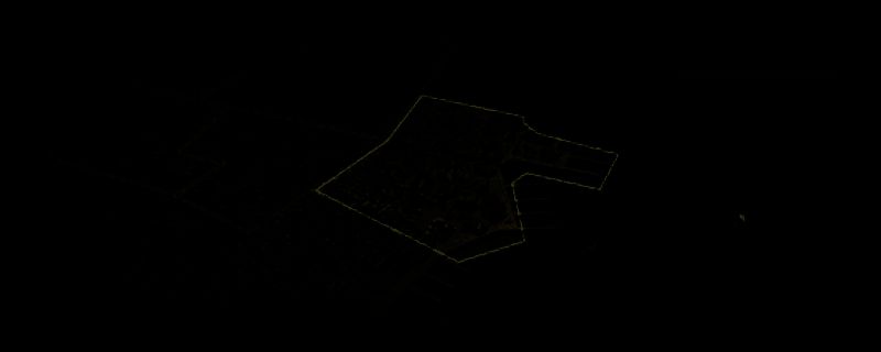 《噩梦边境》游戏画面展示，阴森森林中角色手持武器警惕前行