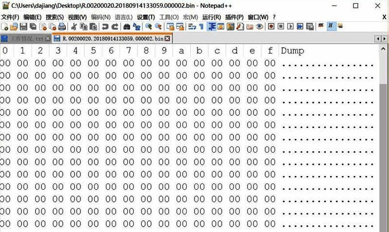HEX视图展示界面，十六进制数据与ASCII字符并列显示