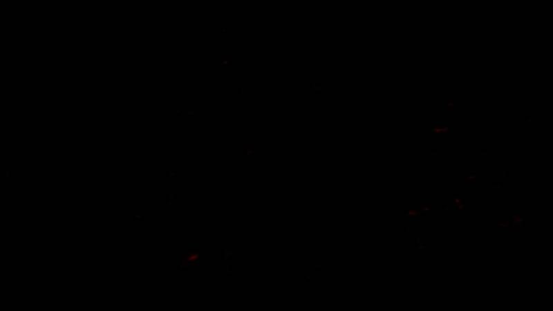 玩家与袋鼠互动画面，山姆尝试将其装入货箱