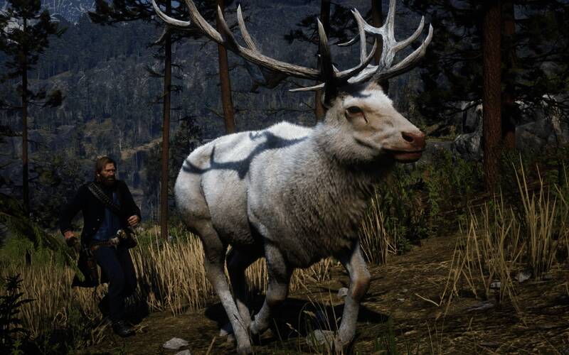 传说麋鹿在丛林中站立，全身洁白，十分显眼