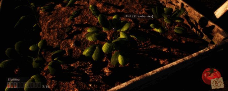 《绯花绽放》游戏场景截图，展示宁静乡村与梦幻色彩交织的画面风格