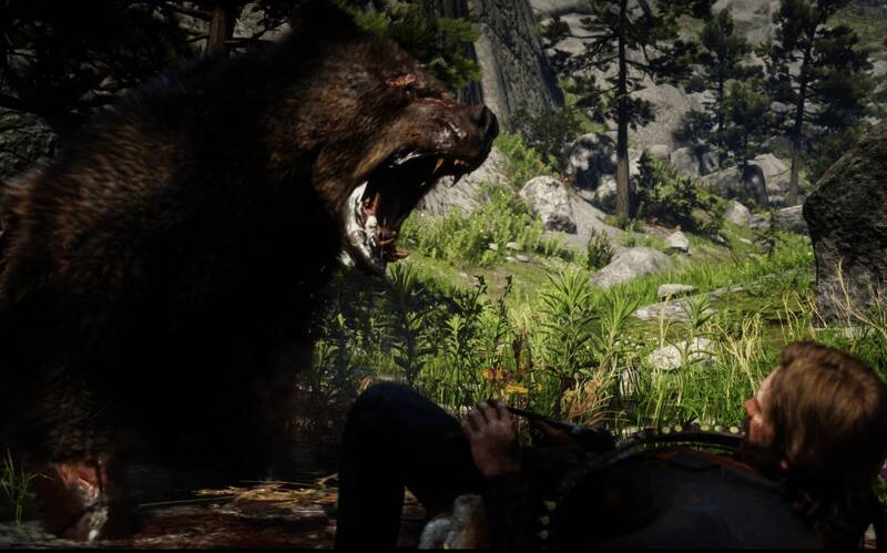 传说灰熊巴拉蒂正面照，脸上有明显疤痕，眼神凶狠