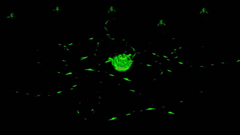 发布会宣传视觉图，展现THQ Nordic品牌标志与未来作品剪影