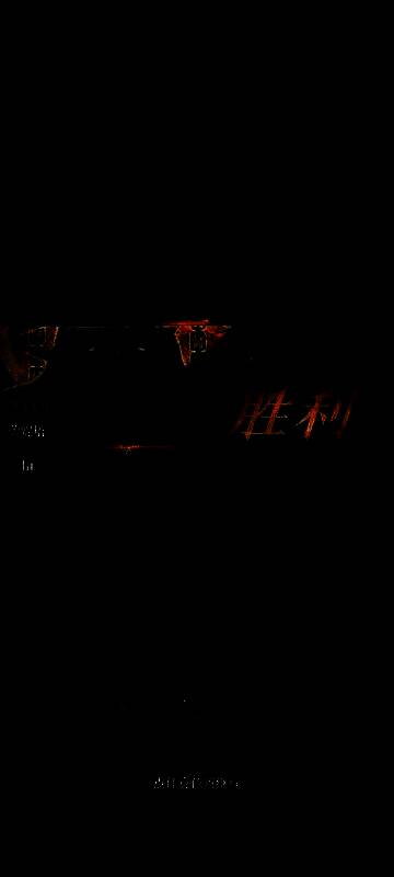 战斗流程示意图显示各阶段操作要点