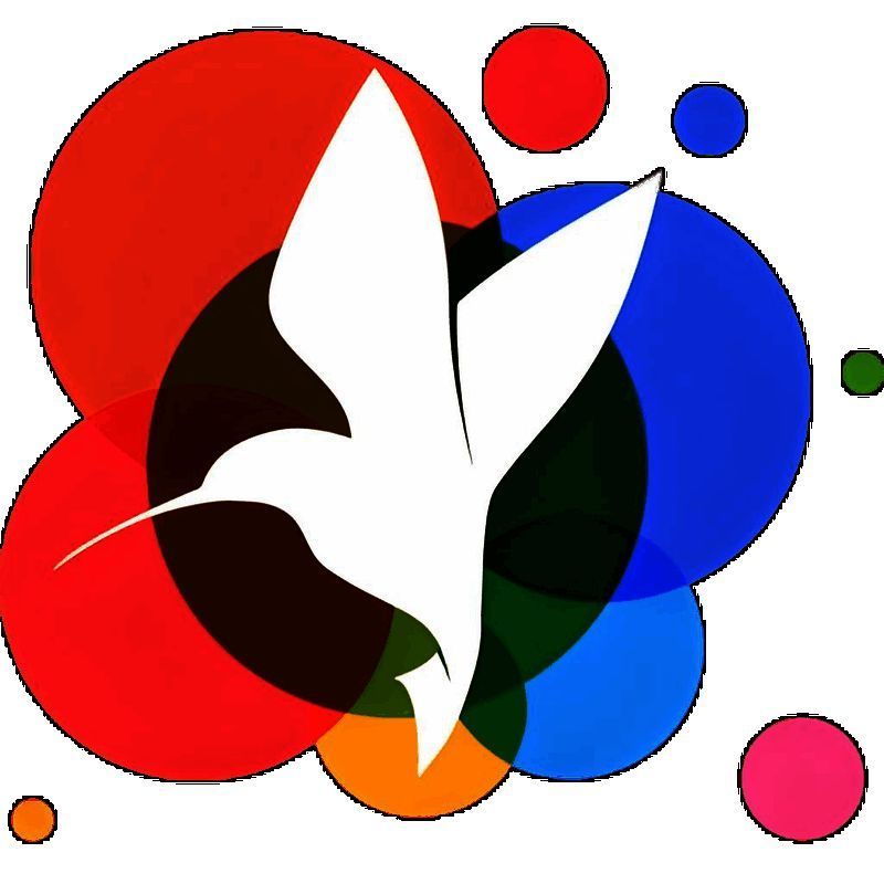 小鸟壁纸主界面展示，显著的动态壁纸按钮清晰可见