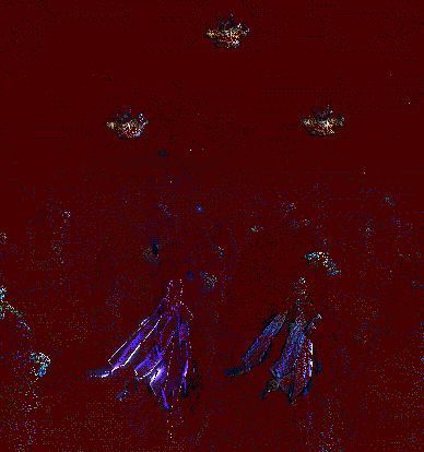 六大魔意技能演示动图，涵盖替身、回血等效果