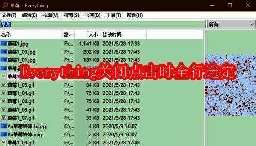 Everything软件主界面展示，显示搜索文件的高效操作场景