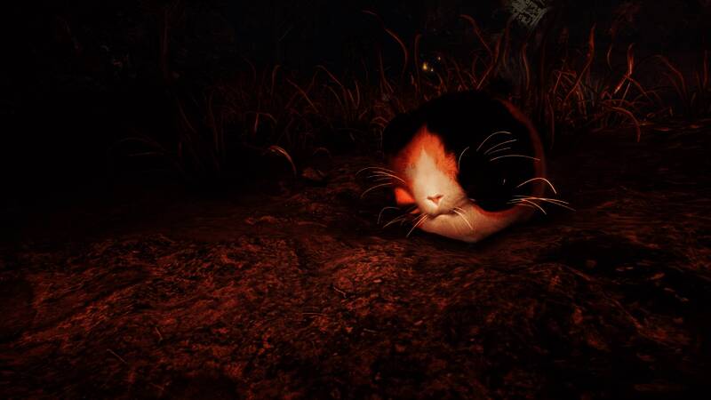 善擦在游戏中奔跑的动态画面，背景为神秘森林场景