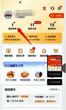 保单列表页面截图，展示多辆车辆的投保记录