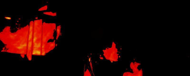 技能树界面展示，完美闪避与反应强化选项高亮显示