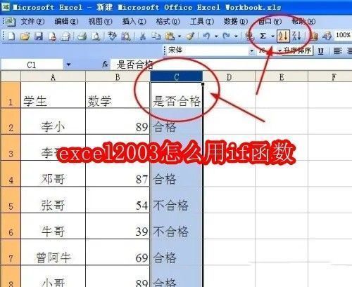 Excel 2003界面展示IF函数设置步骤