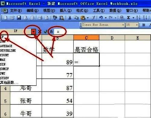 详细展示IF函数条件输入过程