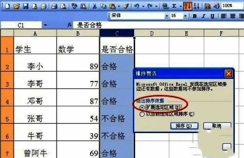 排序完成后的表格效果展示图