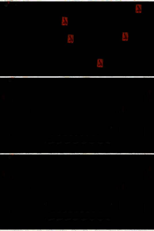 迷宫入口，玩家站在岔路口准备选择路线