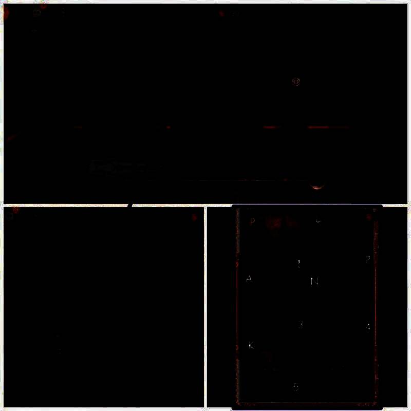 书架上书脊带有字母的书籍排列示意图