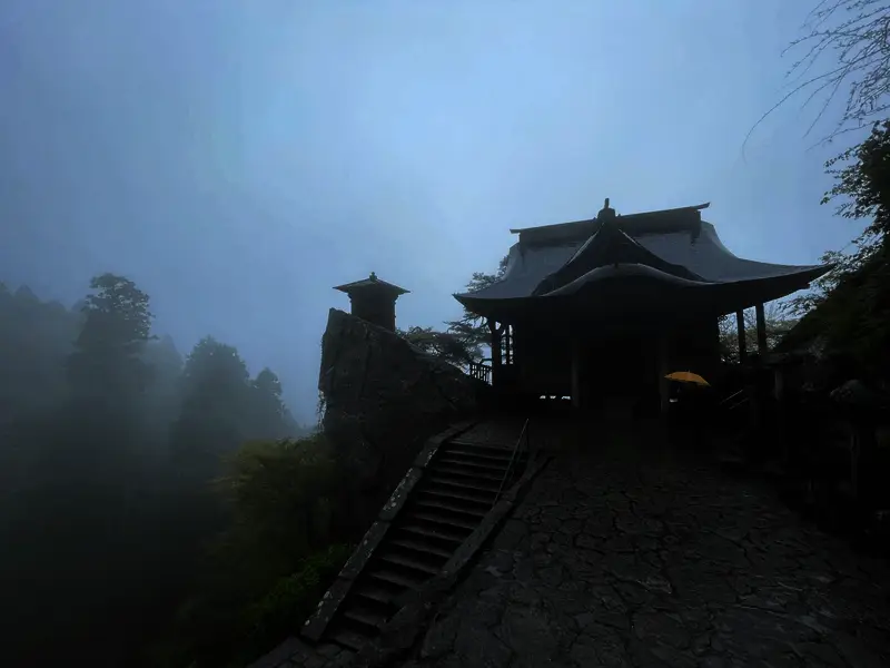 团队成员在山林间行走，背景为郁郁葱葱的北海道森林