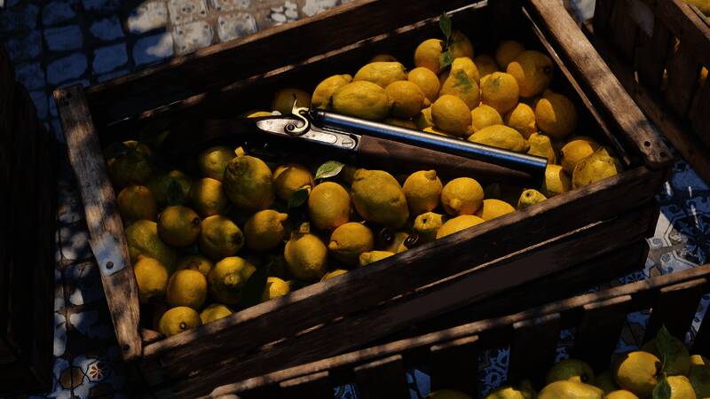 一场暗杀行动正在进行，主角潜伏于阴影之中，目标毫无察觉