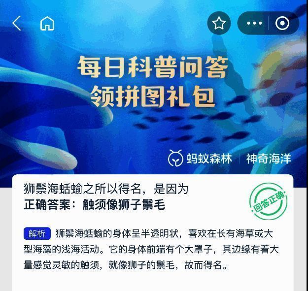 狮鬃海蛞蝓高清图示，清晰展示其触须特征