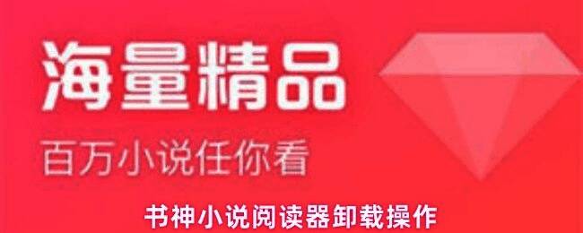 书神小说阅读器应用图标展示，界面简洁，配色清新