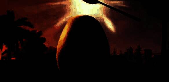 获得鸟羽山羊后的角色形象展示，羽毛翅膀闪闪发光，极具视觉冲击力