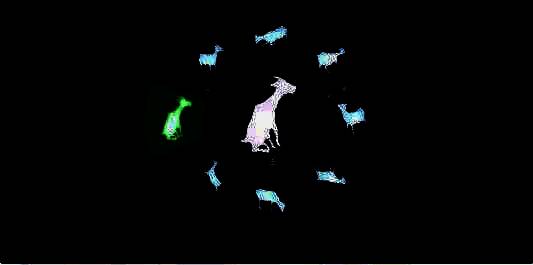 山羊坐在沙发上做出滑稽动作