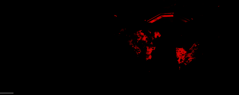 游戏中详细列出各类资源图标及名称的界面截图，清晰展示SC、NS、RS、SS、WM、RP等关键资源信息