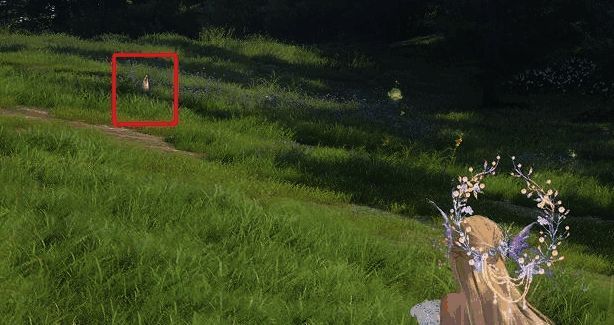 《无限暖暖》相机界面显示刺头布袋被成功拍摄的画面