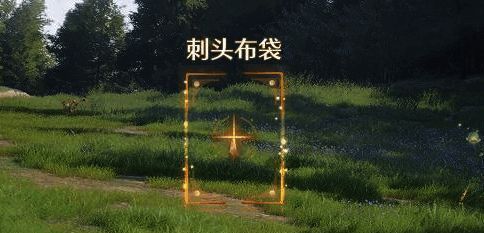 任务提交界面展示已完成的刺头布袋拍摄记录