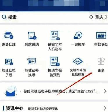 交管12123应用中更多功能选项页面展示