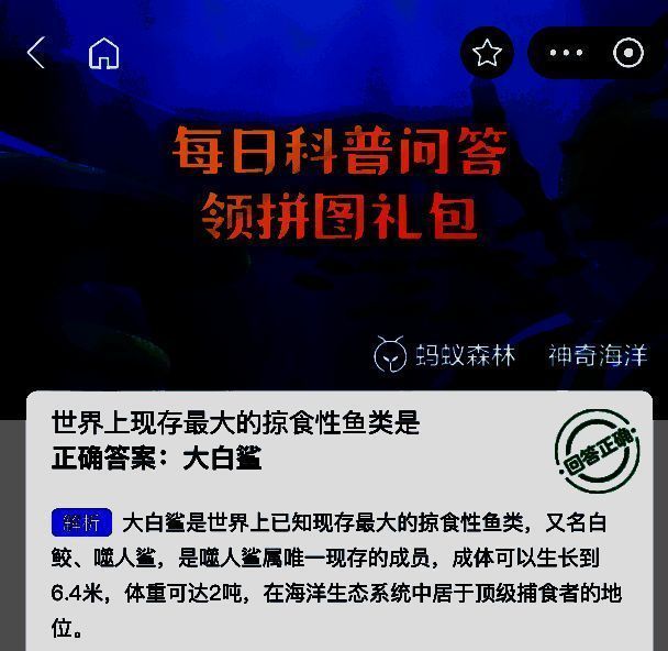 大白鲨高清插画，展现其锋利牙齿与庞大身躯，营造出逼真的海洋生态场景