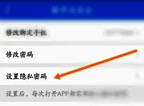隐私密码设置选项界面