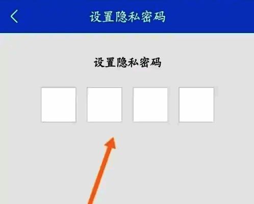 隐私密码输入界面示意图